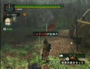 友達はいるけど敢えてMHGを一人で実況(村縛り)Part2