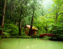 otokim003