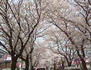 ためし２.MOV