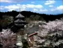 眠気覚ましに『桜のような恋でした』を歌ってみた