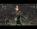 【Demon'sSouls】あたふたデモンズソウル実況part14【初プレイ】