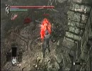 [デモンズソウル・軟弱王子の苦難]