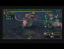 兄妹ではじめからやってみるMHP2G　パート3