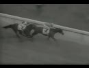 【海外競馬】64’ケンタッキーダービー ノーザンダンサー