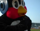 ハナタレヤクルトナイン