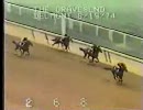 【海外競馬】74’クレーヴゼンドＨ ミスタープロスペクター