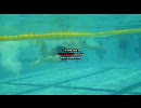 ビッグマン　swim　form