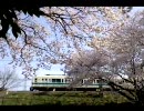 桜と小田急【エンコード方法変えてみた】