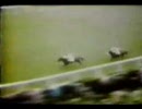 【海外競馬】70’英2000ギニー ニジンスキー