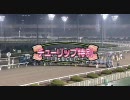 4/5 大井競馬 チューリップ特別 マカニビスティー