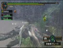 【MHP2G実況】初心者たちの狩り日記　番外編2　後編