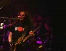 (再調整) DragonForce - Fields of Despair (Live in 東京 2005)