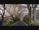 【車載動画】岡山県井原市、井原堤(いばらづつみ)を走る