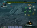 MHF 下位フルフル ハンマーソロ(その1)