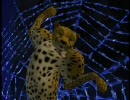 ビーストウォーズ 第3話 「The Web」 2/2