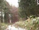 歩行動画　岩手県遠野市の点線道を歩く（３月）