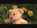 Bears Be Scared