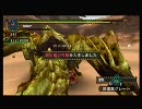 【MHP2G 実況】ガチな装備でイチャイチャしてきました。４狩目