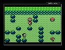 【実況】画面を見ず、音も聞かずにポケモンをプレイ Part19-1