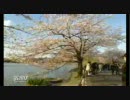 ぐへへ散歩＾Θ＾vol.20