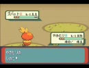 【実況】ポケモンエメラルド実況プレイ！これは有利デス！part6