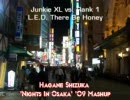 Junkie XL vs. Rank 1 - L.E.D. There Be Honey (Hagane Shizuka's Nights In Osaka '09 Mashup)