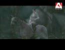 [MAD]MGS d_ダメ