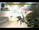 【MHP2G】まったりモンハンしようぜ！第11回 『嵐の中で翔いて』