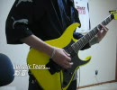 【ボロクソ演奏】Lunatic Tears...弾いてみた