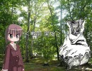 私！落とされて幻想入り12話「とばっちり」