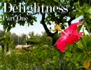 Progressive Mix ”Delightness” パート１