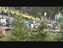 平成22年4月9日　御柱祭　下社山出し　その15　（春宮3　木落）