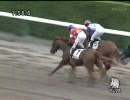 3歳未勝利_レッドシャリオ