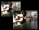 【Winter Alice】 アコースティック ver.を弾いてみた【ギター】