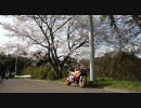 2010/04/11 新ﾏｳﾝﾄﾃｽﾄin宮ヶ瀬