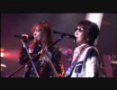 DIVE INTO YOUR BODY - SPIN OFF 2005