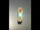 卑猥な柿ピーの画像をイジってみたｗｗｗｗ