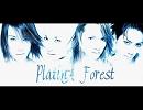 PlatinA Forest - Crystal Blue