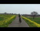 【まころん】ストロボナイツを踊ってみました【with菜の花】