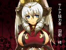 三国志大戦３　最強の神速マイスターを目指す３（証１４）