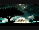 【FF11】さすが一級ダンボール士は格が違った！【謙虚】カンパニエ