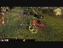 Dragon Age: Origins 再生時間＆画質テスト