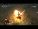 突！燃！斬！【デモンズソウル対人戦】