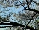 和歌山から大阪・桜ノ宮へ