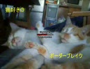 【S5】猫好きのボーダーブレイク【支援】１６匹目