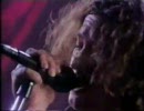 Pearl Jam - Animal (Live)