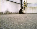 善意とか友愛は通用しませんよ鳩山先生