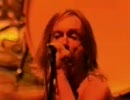 The Stooges - Loose (Live)