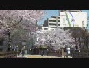 【実況】旧道を往く　中仙道二次目【車載動画】