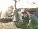 [k-pop,芸能] Girl group G7(青春不敗)少女時代(SNSD),KARA,BEG,4MINUTE,T-ARA..(VET.)1/4